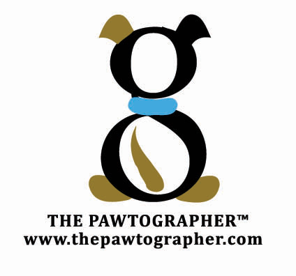 I am the world's premiere themed animal & pet portrait photographer.  Life Is Pawfect Book available on Amazon - http://t.co/FL0hYUsW