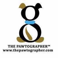 The Pawtographer (@thepawtographer) 's Twitter Profile