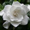 Suzanne McCoy - @suzannemccoy - Twitter