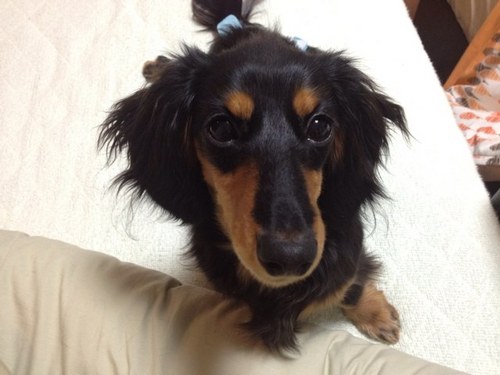 yumeeeei's profile picture. サバランてケーキ、美味しいなぁ🍰