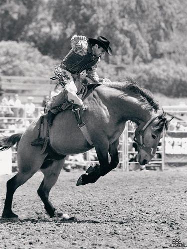 kovboy_77's profile picture. 