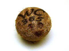 WebCreations365's profile picture. We are a new company that concentrates on building fresh websites.