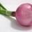 Onion R