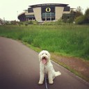 Lauren Shipman - @Shipman_lauren - Twitter