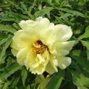 Sandy Bodin - @BodinSandy - Twitter