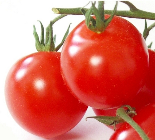 Leckere #vegetarische #Rezepte
Blog: http://t.co/8nsJ3iFm
Facebook: http://t.co/FqWU2Rcb