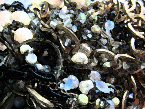 Namazu8's profile picture. 濁流の色彩術師　兼　色欲のチェーン使い（になりたい）