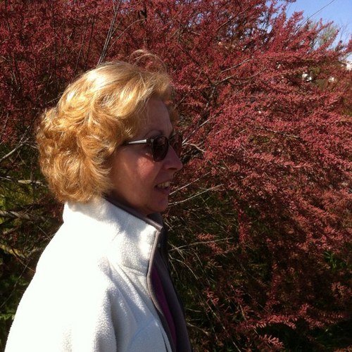 catherinecathy2's profile picture. 