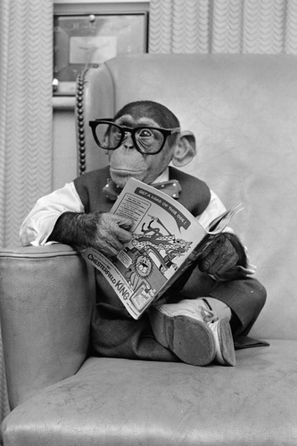 hangover_deluxe's profile picture. 