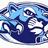 HSTCougars_news's profile image
