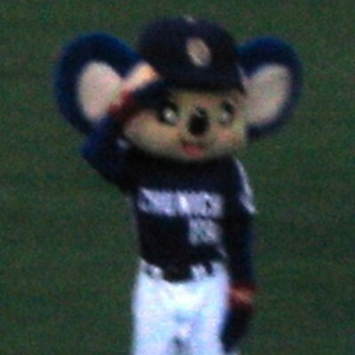 torua's profile image