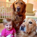 Elizabeth Caetano - @pinkandgreen79 - Twitter