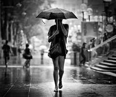 julie_johnson41's profile picture. Pen artist - Flowers, Pets, love Sculptures and history of art.