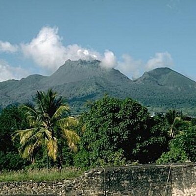 mornouel's profile image