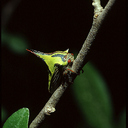 Aleyda Camacho - @CamachoAleyda - Twitter