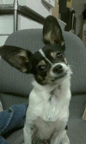 ckning's profile picture. 