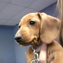 David Snell - @snell_david - Twitter