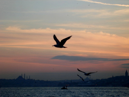 oturan ümmet yürüyen peygamberi anlamaz ki