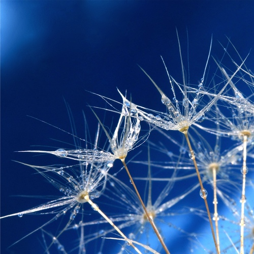 BerniMartin's profile picture. Beadmaker, Lomographer, Rubber Stamper, Beachcomber, Photographer, Collector, Radio Head