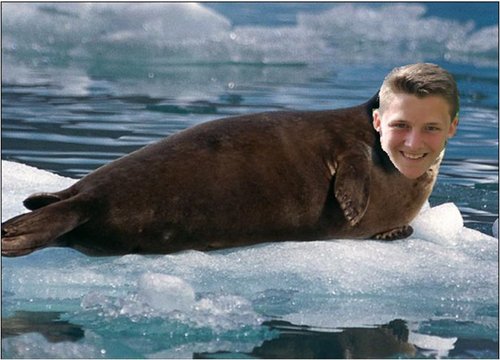 Chris_seal95's profile picture. 