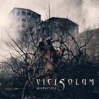 ViciSolum (@vicisolum) 's Twitter Profile