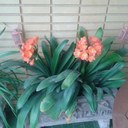 Isabel mateu ferre - @Mateuferre - Twitter