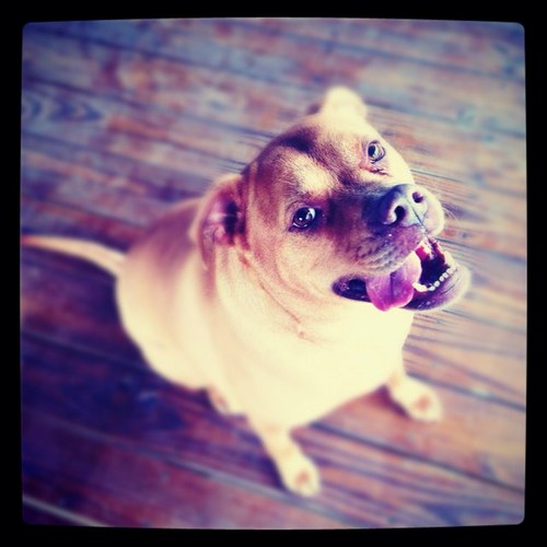 courtakerr's profile picture. NC based light catcher ... a.k.a. photographer.