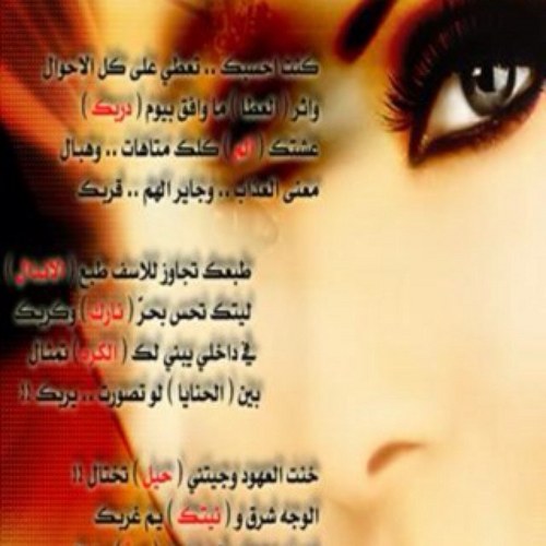 gogomohamadmoo's profile picture. 