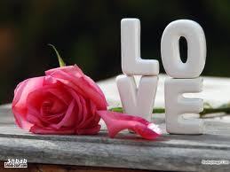 rwidgamal's profile picture. 