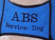 ABS_servicedogs's profile picture. 