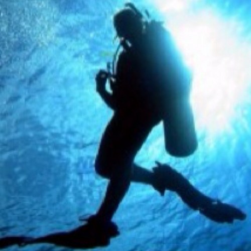 callmebadger's profile picture. 