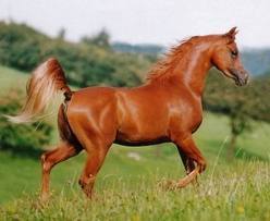 Omdanaaaa's profile picture. اللهم اني اسآلك الجنه...