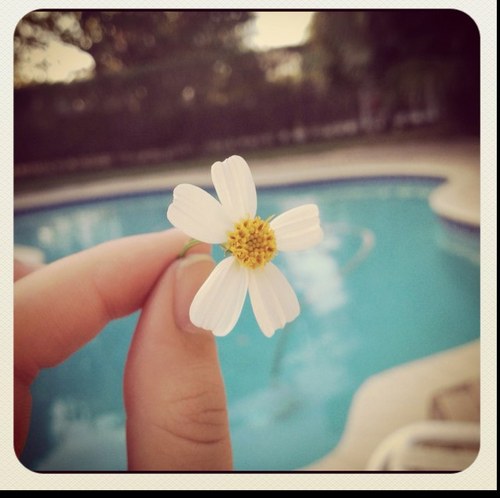 WhatToSay3's profile picture. find the funniest or girlest quotes. Follow away. If not enjoy your day.