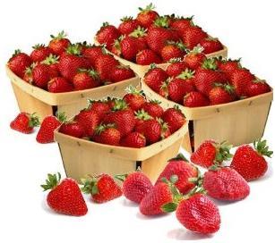 FruitShopUS's profile picture. We offer fresh fruits and fruit baskets at the best prices! Check out our website today.