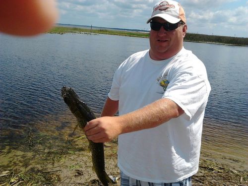 Bigtims's profile picture. 