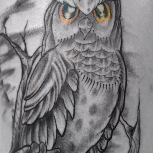 AndyMayTattoo's profile picture. just here to follow pornstars and comedians...