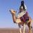 nomadeperdido's profile image