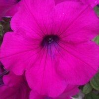 gardemanger (@garde_manger) 's Twitter Profile