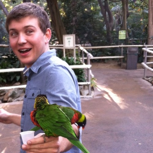 cricketiii's profile picture. 