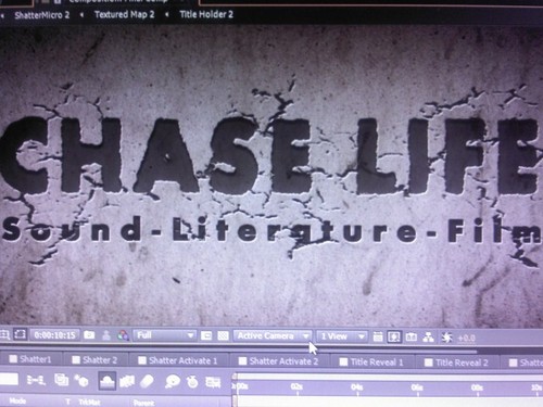 CO- OWNER of CHASE LIFE CO.
                  (Sound,Literature & Film)