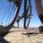 bikene1's profile image