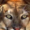 marcel beaulieu - @beaulieu_marcel - Twitter