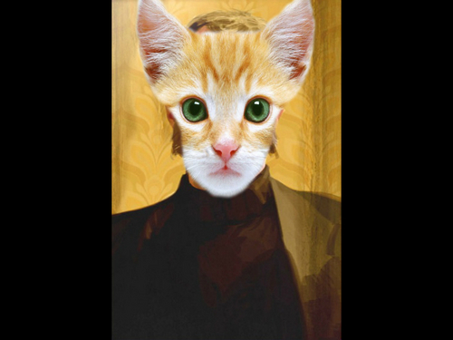 CatCaveJohnson's profile picture. Meow. Meow meow meow.