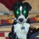 Lisa Ensign - @ecmarie01 - Twitter