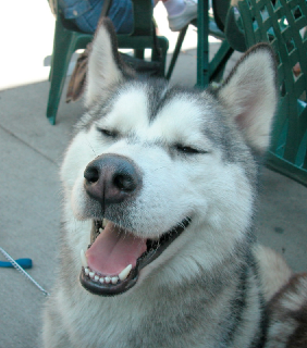 JHuPiTer's profile picture. 