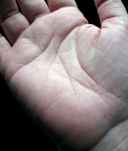 ReadMyPalm's profile picture. What does your palm tell you?