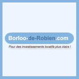 Informations indépendantes sur les miroirs aux alouettes (scellier, borloo, robien, immobilier locatif) : les avantages, mais aussi et surtout leurs défauts !