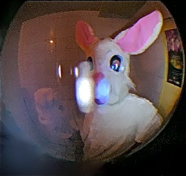 Tristan_Francoz's profile picture. 