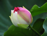 Stephan69217068's profile picture. I also like music whatever the style of songs, I'll listen.
https://t.co/ilU1GydPu4