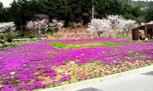 gehen0930's profile picture. 아름다운 나라를 만들자